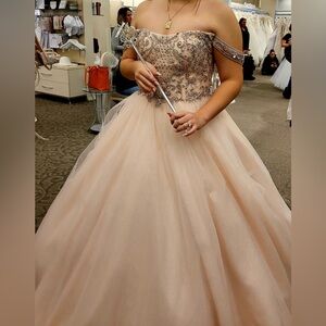 David's Bridal Blush and Silver Wedding Dress